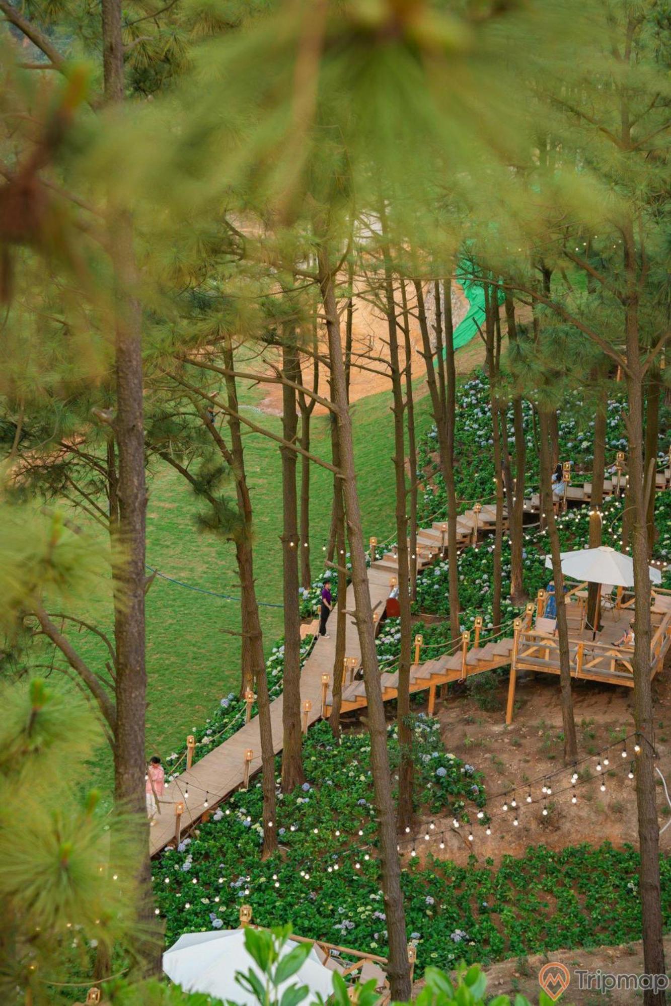 ハロン Nha Nghi Anh Dung Bed & Breakfast エクステリア 写真